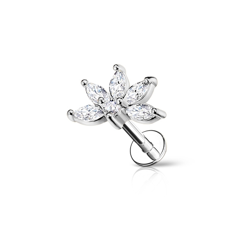 piercing trendy