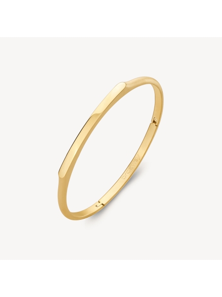 Acquista ora bracciale rigido satinato su elefantebianco.jewelry